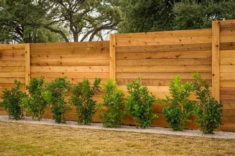 40 DIY Backyard Privacy Fence Design Ideas on A Budget