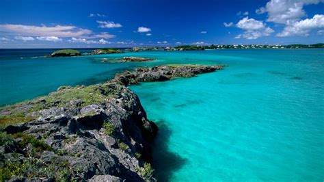 Sargasso Sea around Bermuda is now at its hottest, most acidic and ...