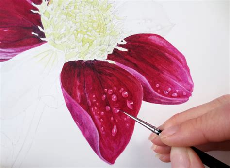 Getting to know...Anna Mason, Botanical Watercolourist with added 'Wow ...