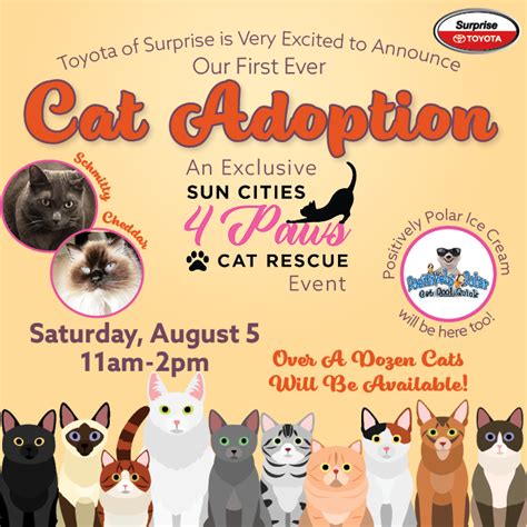 Cat Adoption Event - Surprise Toyota - PORA Sun City West