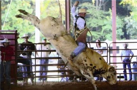 Bull Bash is May 6-7 – pikecountygeorgia.com