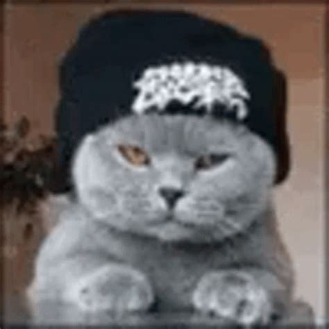 Cat Thinking GIF - Cat Thinking Waiting - Discover & Share GIFs Funny ...