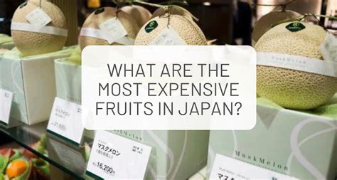 What are the most expensive fruits in Japan?