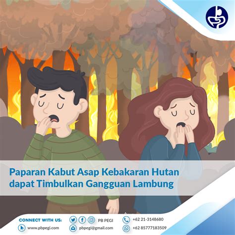 Paparan Kabut Asap Kebakaran Hutan dapat Timbulkan Gangguan Lambung ...