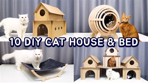 10 Amazing DIY Cat House & Bed #3 - YouTube