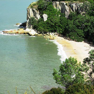 THE 10 BEST Things to Do in Whitianga - Updated 2021 - Must See ...