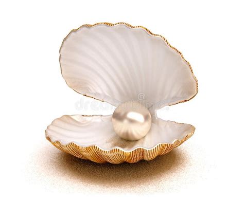 Sea shell with pearl. Sea 芒EUR , #AD, #shell, #Sea, #EUR, #pearl #ad ...