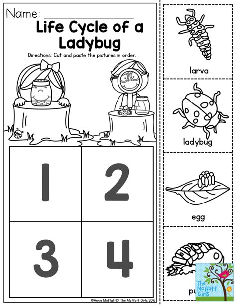 Life Cycle of a Ladybug- This one is sure to be a favorite preschool ...