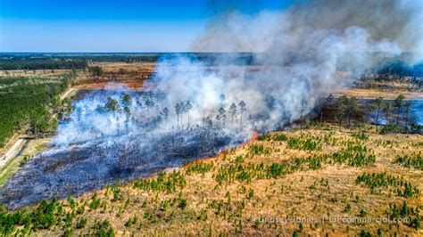 What I Learned Photographing My First Environmental Controlled Burn ...