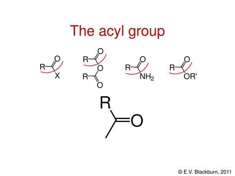 What Is An Acyl Group