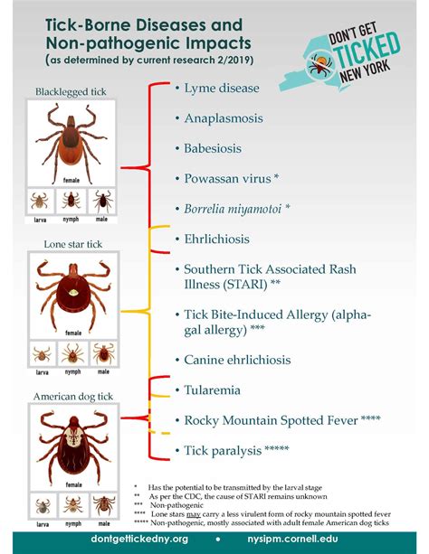 Help! I found a tick on me! – Think IPM Blog