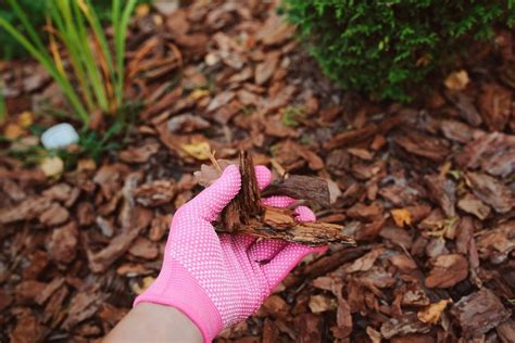 Mulch: Bark, Wood Chips, or Rock? | Crewcut Lawn & Garden