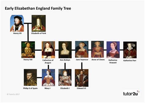 Tudor Family Tree Henry Vii, HD Png Download , Transparent Png Image ...