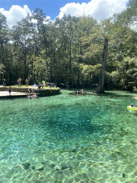 Family-Friendly Ponce de Leon Springs in Florida | Dutch Dutch Goose