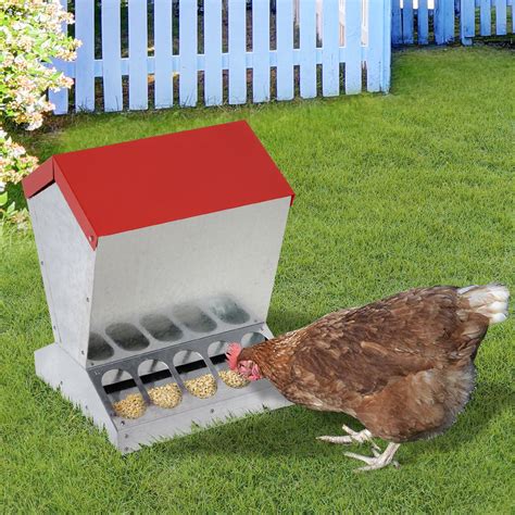 auto feeders for chickens – galvanized chicken feeders for sale ...