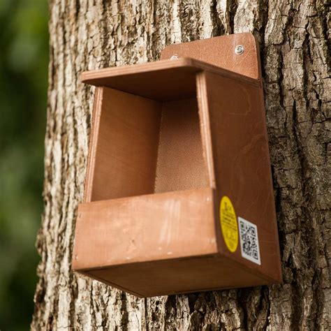 Robin Nest Box | The Nestbox Company