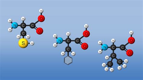 Structure and properties of amino acids | Britannica