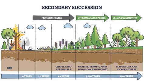 SC.912.L.17.4 Changes in Ecosystems - Welcome to Dr. Suris Science Class!