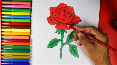 Rose Flower Drawings With Color