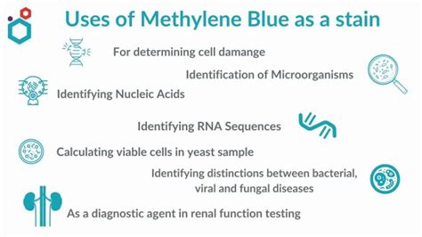 Methylene Blue as a Stain | What is it used for with Example – Macsen Labs