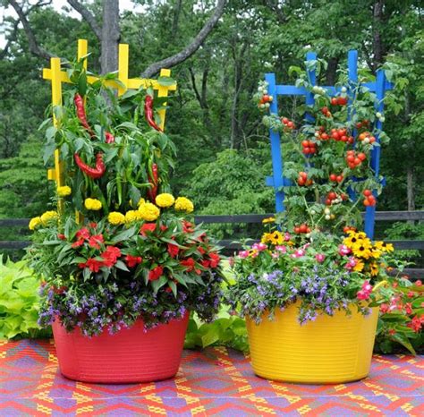 15 Stunning Container Vegetable Garden Design Ideas & Tips | Balcony ...