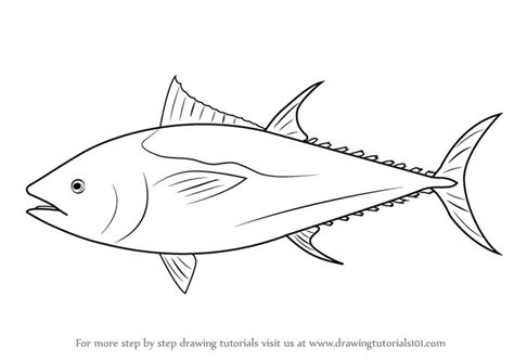 How to Draw an Atlantic Bluefin Tuna - DrawingTutorials101.com ...