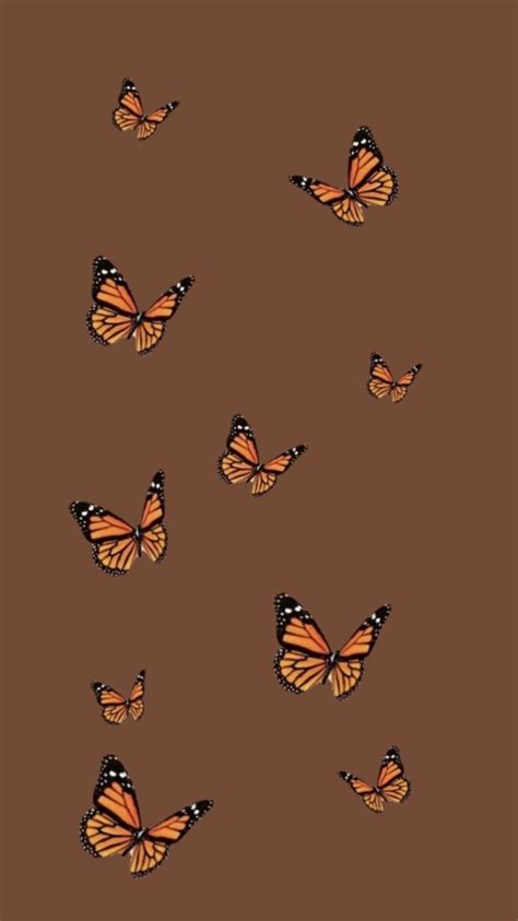 Update 55+ brown butterfly wallpaper - in.cdgdbentre