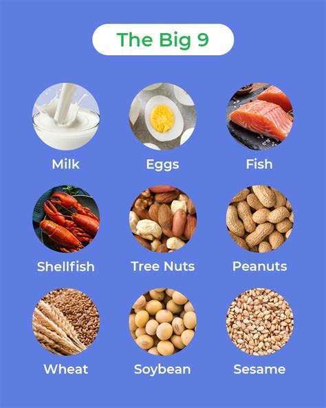 Avoiding Food Allergies: Keep in Mind The Big 9