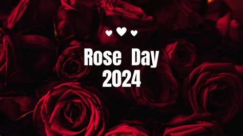 Rose Day 2024 Date: When it is and What is the Significance of ...