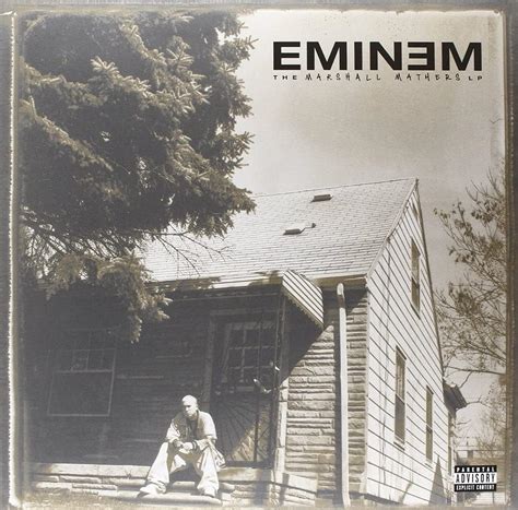 The Marshall Mathers LP (Reissued [2 Vinyl LP]: Amazon.ca: Musique