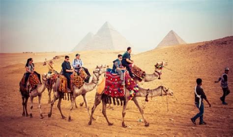 Cairo Camel Ride | Camel Ride Cairo Pyramids | Giza Pyramids Tours