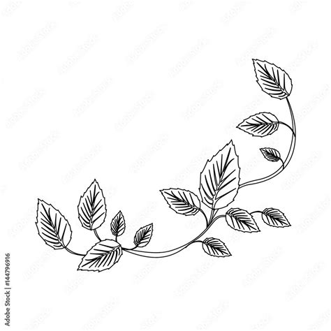 black silhouette of creeper plant vector illustration Stock Vector ...