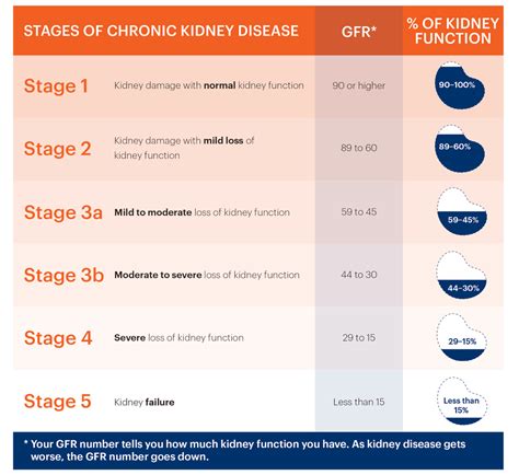 Stages of Chronic Kidney Disease – Purivo Dialysis Center