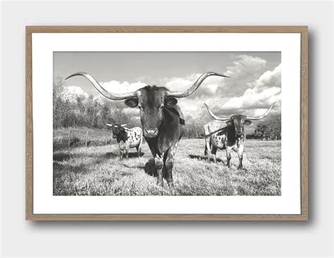 Longhorn Wall Decor Longhorn Art Longhorn Print Longhorn - Etsy