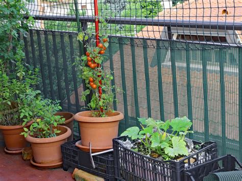 Balcony Vegetable Garden - Growing A Vegetable Garden On A Balcony ...