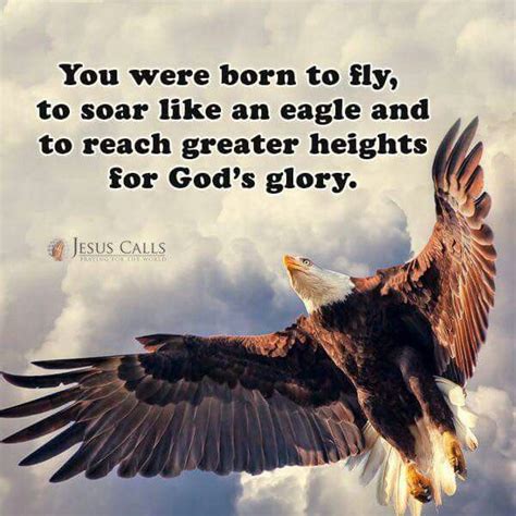 Soar like an Eagle | Eagles quotes, Eagles, Bald eagle