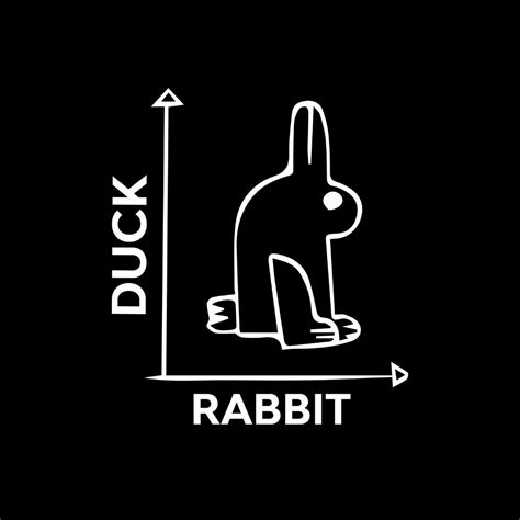 Duck Rabbit Illusion | T-shirt for girls – Cool Vibe