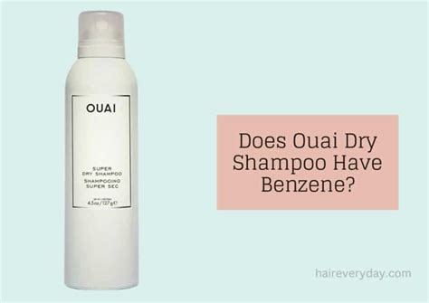 Does Ouai Dry Shampoo Have Benzene In 2024 | The Truth About This Hair ...