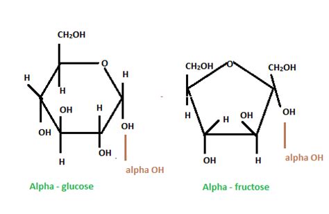 Alpha And Beta Glucose Ring Structure