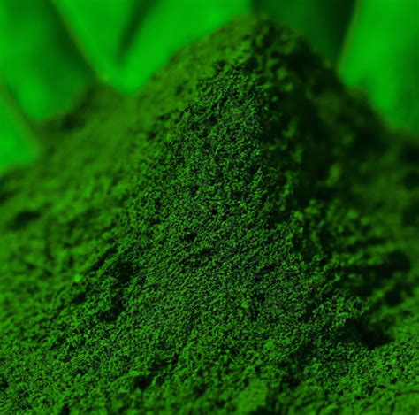 Unveiling a Spectrum of Natural Green Food Coloring - IMBAREX | Natural ...