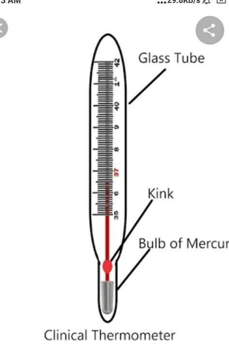 draw the clinical thermometer and label it parts - Brainly.in