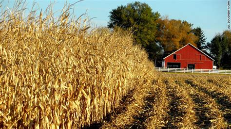 In an Iowa cornfield, seeds of hope for Afghan and Pakistani farmers ...