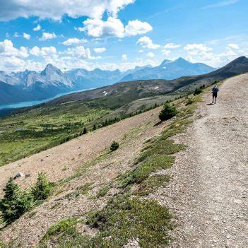 Bald Hills Trail Hike, Jasper National Park | Hike Bike Travel