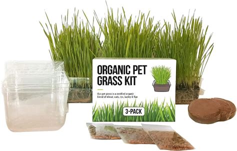 Cat Grass Growing Kit - 3 Pack Organic Seed, Soil and BPA Free ...