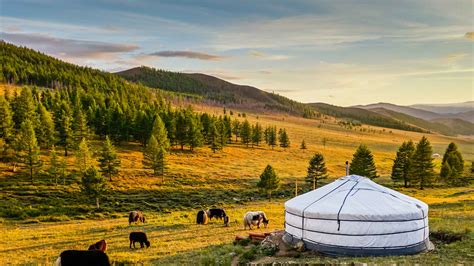 Mongolia 2022: Top 10 Tours, Trips & Activities (with Photos) - Things ...