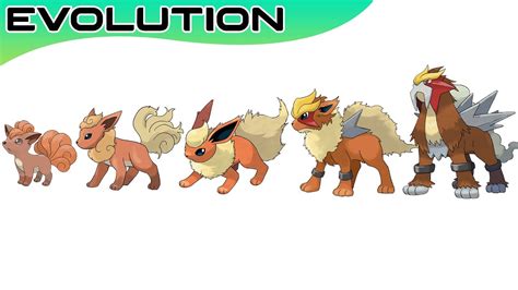 Pokémon Evolutions You Didn't Know #53 | Max S - YouTube