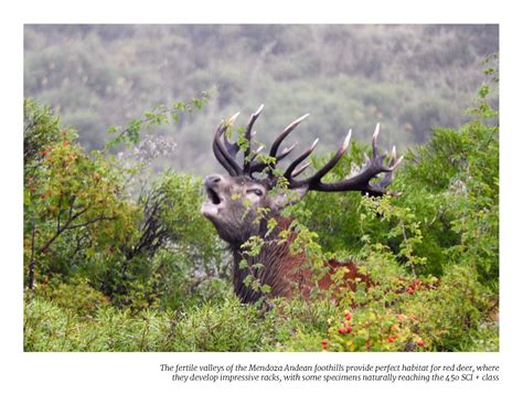 Tupungato Brochure | Red Stag Patagonia