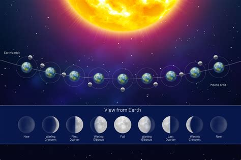 What Causes Moon Phases? (+ All 8 Moon Phases Explained)