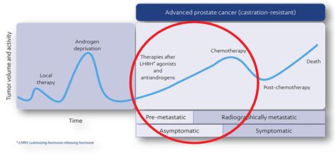 Determining the best support for CRPC patients: The nurse perspective ...