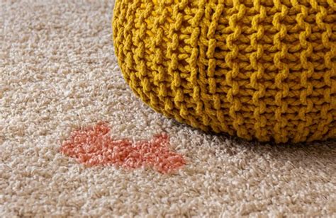 The 8 Best Homemade DIY Stain Remover for Carpets - HumeShed